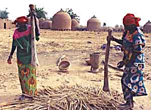 Women in Niger pounding millet - photos by Alexis Wolff