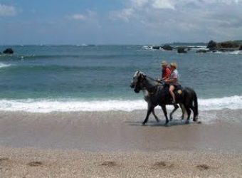 Tropic Getaway on Horseback