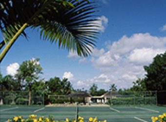 St John’s the Perfect Place to Perfect Your Tennis Swing