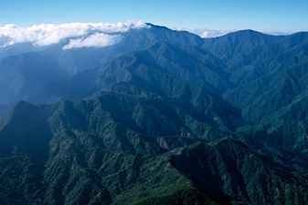 Jamaica's Blue Mountains, where the great coffee is grown.